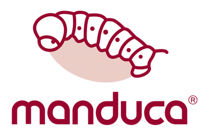 manduca