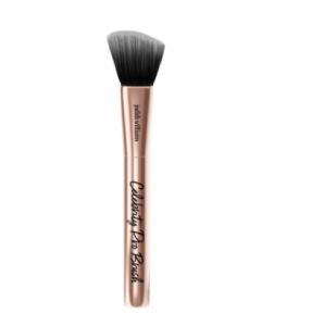 Celebrety Pro Brush